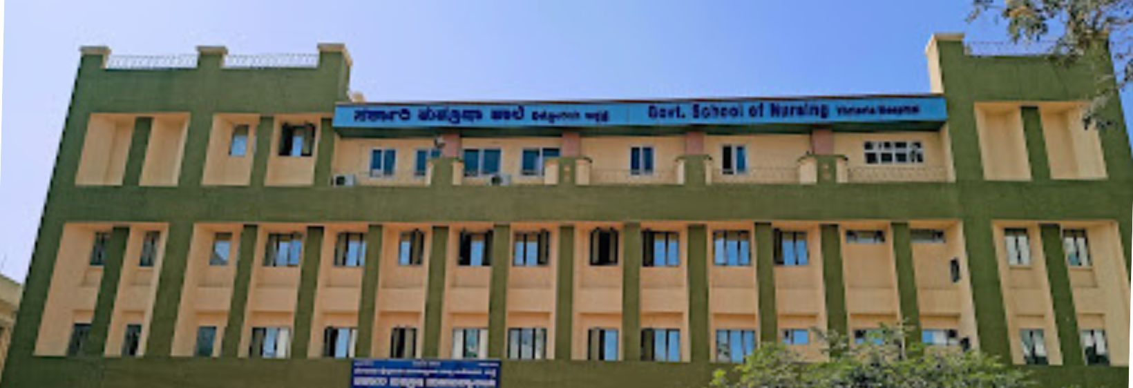 Government School Of Nursing