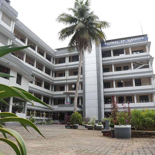 Devamatha School of Nursing (Nilgiris, Tamil Nadu)