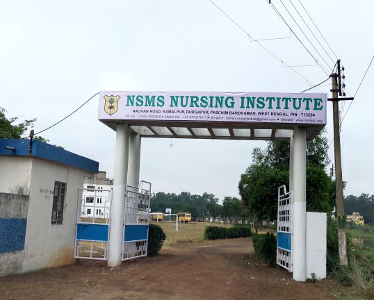 Nsms Nursing Institute,