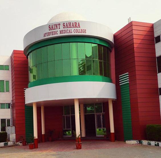 Saint Sahara School of Nursing