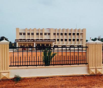 Sri Adarsha College Of Nursing