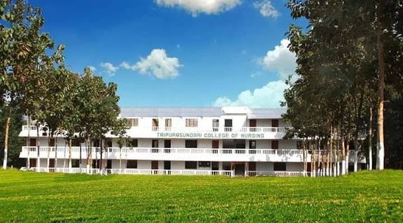 ILS Nursing Institute